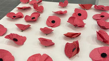 Load image into Gallery viewer, Poppy Project Kit